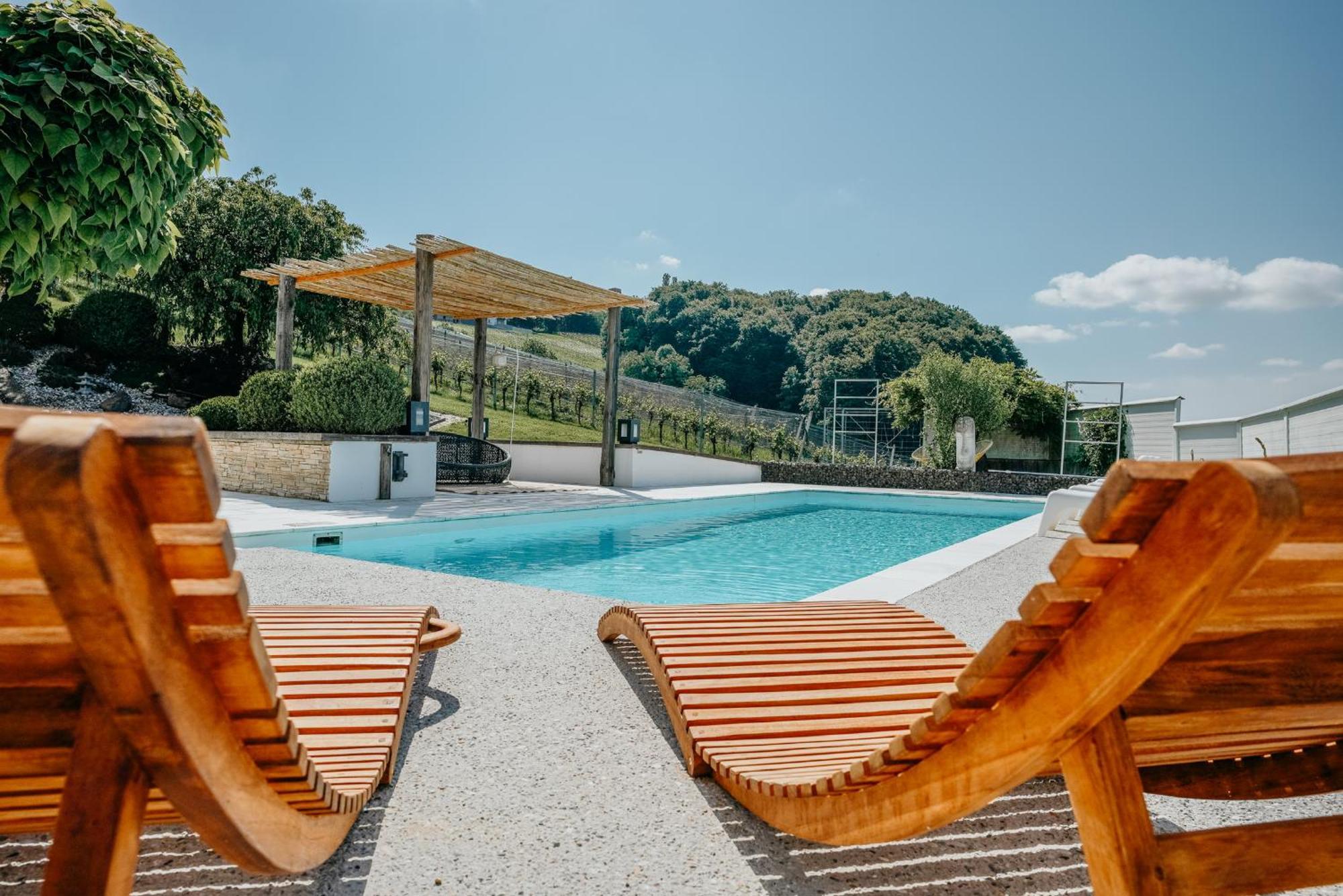 Weingut Holler Chalet Weingarten 스피에펠트 외부 사진
